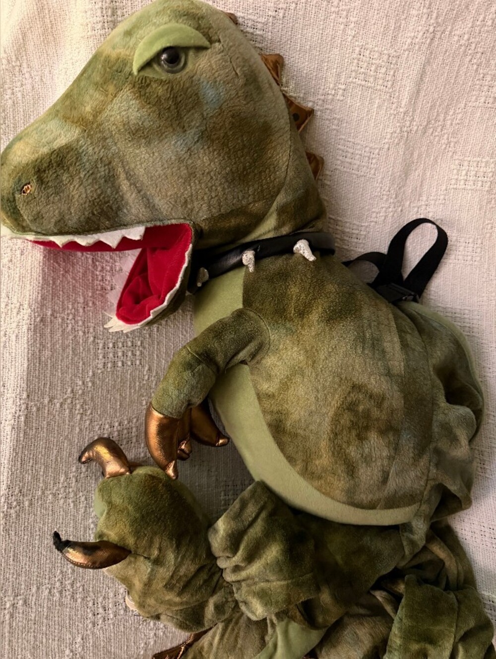 Ministry Of Rascals Dragon With Light Up Eyes And Step In Backpack Withfootstrap